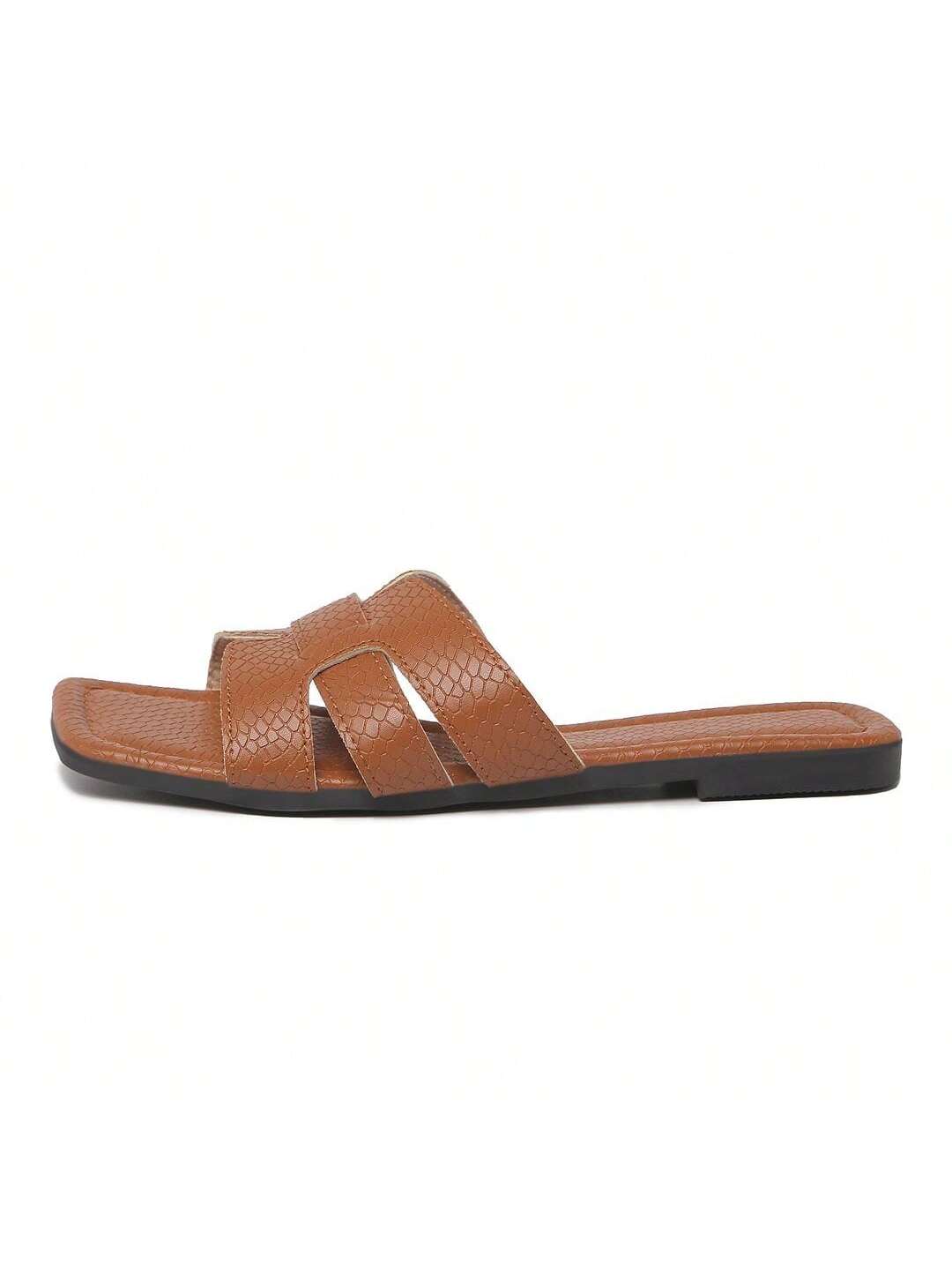 paloma-brown