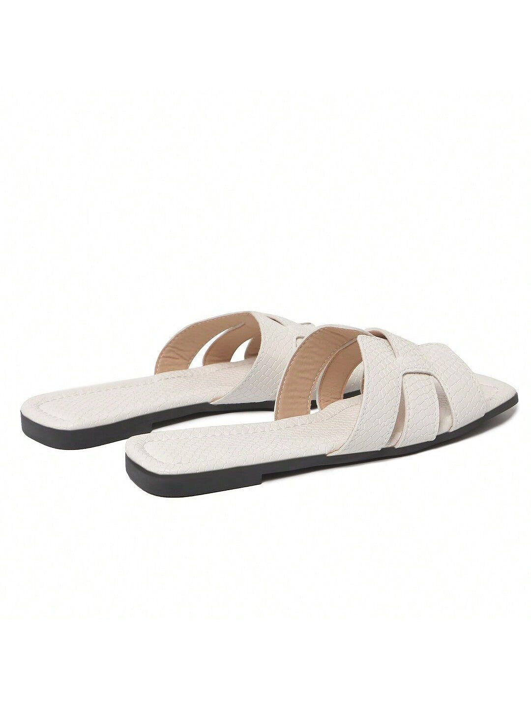 paloma-white